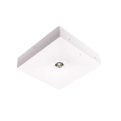 Luminaire de secours en saillie STARLET QUAD SQ 150 M 1H AT / 86537 230 V