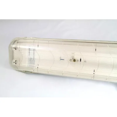 Luminaire hermétique, TCW060 2xTL-D36W EB