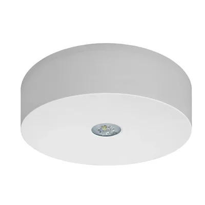 Luminaire LED AXN IP65 ECO 3W 310lm (universel en option) 1h à usage unique blanc AT