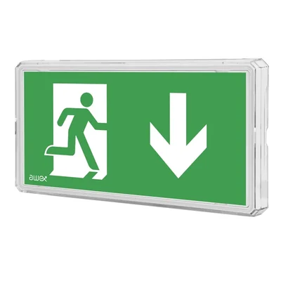 Luminaire LED EXIT IP65 1W 3h double usage blanc AT 230V