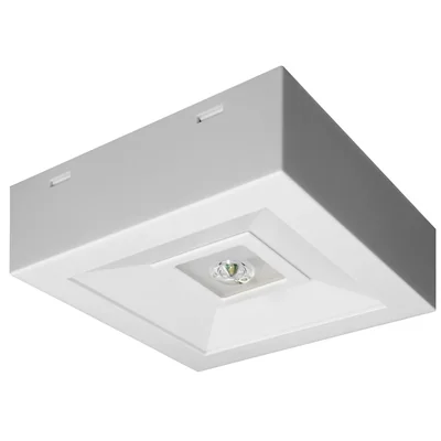 Luminaire LOVATO N ECO LED 3W (opt. universel) 1h à usage unique blanc AT 230V