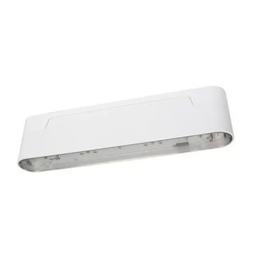 LUZ DE EMERGENCIA ARNS/1W/B/1/SA/AT/WH