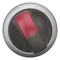 M22-WLKV-R INTERRUPTOR DE POSICIÓN ILUMINADO