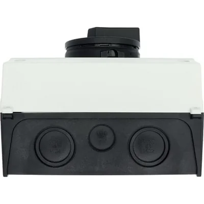 Main switch, 63A, P3-63/I4/SVB-SW/HI11