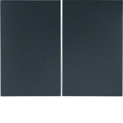 Matt lacquered anthracite double rocker