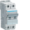 MCB Circuit Breaker 10kA 2 Pole 10A Characteristic C