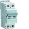 MCB Circuit Breaker 10kA 2 Pole 1A Characteristic D
