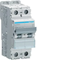 MCB Circuit Breaker 10kA 2 Pole 4A Characteristic D