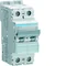 MCB Circuit breaker 10kA, 2P, type B, 10A