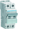 MCB Circuit breaker 10kA, 2P, type B, 40A
