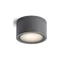 Merido Lampada da soffitto antracite