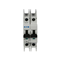 Miniature circuit breaker type D 2-pole, 63A, D-Char
