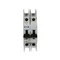 Miniature circuit breaker type D 2-pole, 63A, D-Char