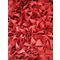 MIUU Hanging lamp 2GX13 IP20 red