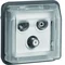 Modulo presa antenna terminale W.1 RTV-SAT con coperchio IP55, grigio
