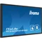 Moniteur de présentation interactif iiyama TF5539AS-B1AG 55" IPS LED 4K / HDMI, DP, Android / iiSignage², eShare, IP65, 24/7