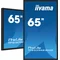 Moniteur de présentation interactif iiyama TF6539AS-B1AG 65" IPS LED 4K / HDMI, DP, Android / iiSignage², eShare, IP65, fonctionnement 24h/24 et 7j/7