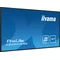 Moniteur iiyama ProLite LE4341S-B2 43" IPS LED, Full HD, affichage dynamique 18/7, 1 port VGA, 3 ports HDMI, USB, LAN