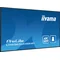 Moniteur iiyama ProLite LH6565UHSB-B1 DS 65" 4K IPS LED, fonctionnement 24h/24 et 7j/7, CMS iisignage2, Android 11, Eshare, 800 cd, Wi-Fi, LAN, HDMI, DP