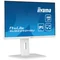 Moniteur iiyama ProLite XUB2292HSU-W6 22" IPS LED 100 Hz 0,4 ms / HDMI DisplayPort / Hub USB FlickerFree HAS Blanc