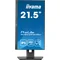 Moniteur iiyama ProLite XUB2293HSU-B6 22" IPS LED 1 ms / HDMI DisplayPort / Hub USB FlickerFree HAS