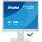 Monitor bianco iiyama ProLite B1980S-W1 19" TN LED 5:4 1280x1024, HAS, HDMI, DP, altoparlanti