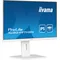 Monitor blanco iiyama ProLite XUB2497HSN-W2 de 24" IPS LED, 1 ms, 100 Hz, HDMI DP, estación de acoplamiento USB-C integrada, sin parpadeo
