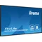 Monitor DS iiyama ProLite LH4365UHSB-B1 43" 4K IPS LED, 24/7, CMS iisignage2, Android11, Eshare, 800cd, WiFi, Lan, HDMI, DP