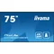 Monitor DS iiyama ProLite LH7565UHSB-B1 75" 4K IPS LED, 24/7, CMS iisignage2, Android11, Eshare, 800cd, WiFi, Lan, HDMI, DP