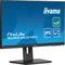 Monitor iiyama ECO ProLite XUB2463HSU-B1 de 24" IPS LED 100 Hz / HDMI DisplayPort/ concentrador USB, HAS, Eye Safe, Eye Comfort