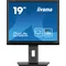 Monitor iiyama ProLite B1980S-B1 19" TN LED 5:4 1280x1024, HAS, HDMI, DP, Głośniki