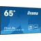 Monitor iiyama ProLite LH6541UHS-B1AG da 65" VA LED, 4K, segnaletica digitale 24/7, 3xHDMI, altoparlanti, lettore multimediale USB