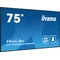 Монітор iiyama ProLite LH7565UHSB-B1 DS 75" 4K IPS LED, 24/7, CMS iisignage2, Android11, Eshare, 800cd, WiFi, Lan, HDMI, DP