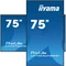 Монітор iiyama ProLite LH7565UHSB-B1 DS 75" 4K IPS LED, 24/7, CMS iisignage2, Android11, Eshare, 800cd, WiFi, Lan, HDMI, DP