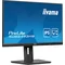 Monitor iiyama ProLite XUB2493HS-B6A de 24" IPS LED 0,5 ms 100 Hz / HDMI DP/ FlickerFree FreeSync HAS