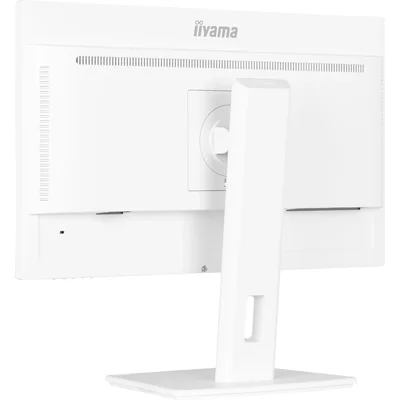 Monitor iiyama ProLite XUB2497HSU-W2 24" IPS LED 1ms 100Hz /HDMI DP / Flicker-Free White