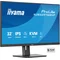 Monitor iiyama ProLite XUB3297QSNP-B1 32" IPS LED WQHD 1ms 100Hz /HDMI DP/ Wbudowana stacja dokująca USB-C, FlickerFree