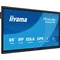 Monitor interactivo iiyama 65" TE6515A-B1AG 4K UHD Google EDLA iiShare, DMS, WiFi, USB-C, HDMI, DP