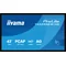 Monitor interaktywny iiyama ProLite T4329AS-B1AG 43" 4K VA LED, USB-C, WiFi, LAN, eShare, iiShare