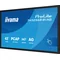 Monitor interaktywny iiyama ProLite T4329AS-B1AG 43" 4K VA LED, USB-C, WiFi, LAN, eShare, iiShare