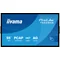 Monitor interaktywny iiyama ProLite T5529AS-B1AG 55" 4K VA LED, USB-C, WiFi, LAN, eShare, iiShare