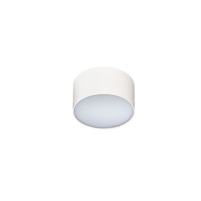 MONZA R 12 3000K White ceiling lamp