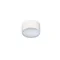 MONZA R 12 3000K White ceiling lamp