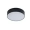 MONZA R 22 4000K Black ceiling lamp