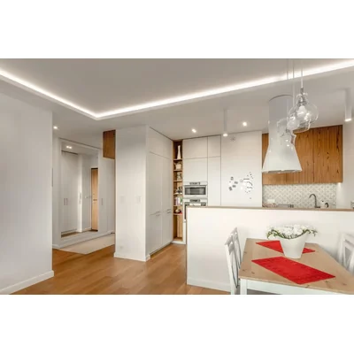 MORENA CEILING SPOT LIGHT, IP20, SQUARE, INOX