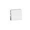 MOSAIC SINGLE-POLE SWITCH - 2 MODULES WHITE 10AX-250V~