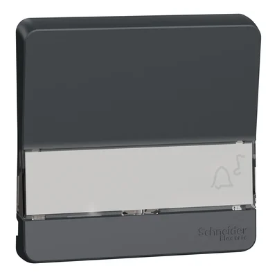 MUREVA STYL IP55 Bascule avec champ descriptif, anthracite