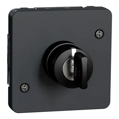 MUREVA STYL IP55 Three-position switch anthracite