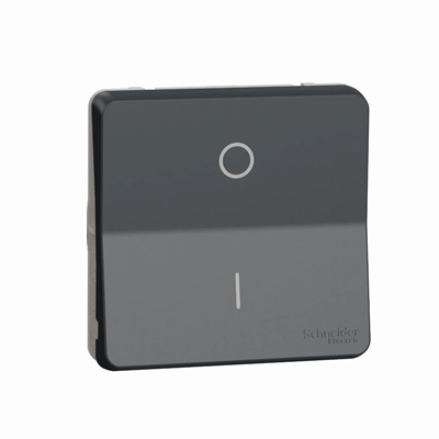 MUREVA STYL IP55 Two-pole switch mechanism anthracite