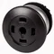 Mushroom push-button, black, M22-DP-S-X